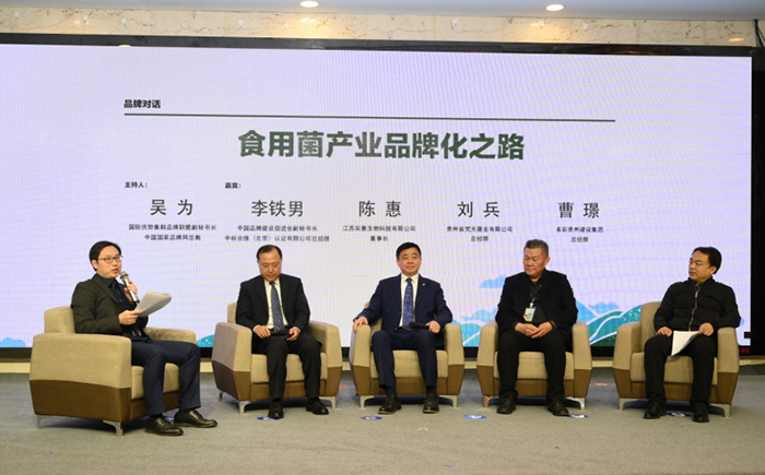 專(zhuān)題報(bào)道