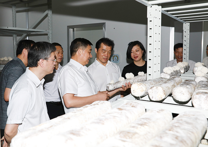 專(zhuān)題報(bào)道