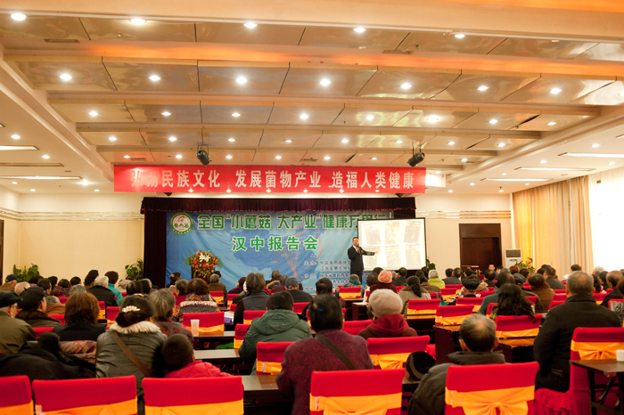 專(zhuān)題報(bào)道