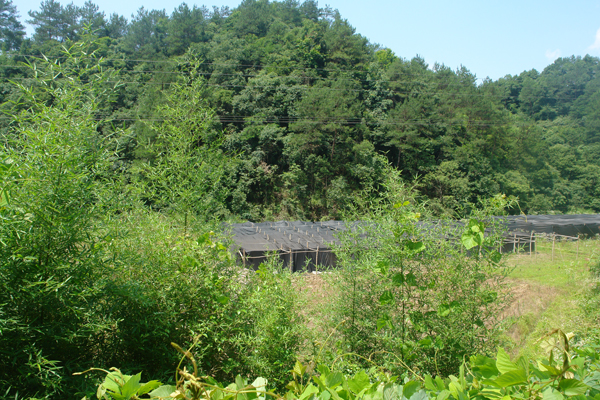 圖片關(guān)鍵詞 圖片關(guān)鍵詞