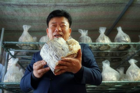 圖片關(guān)鍵詞 圖片關(guān)鍵詞