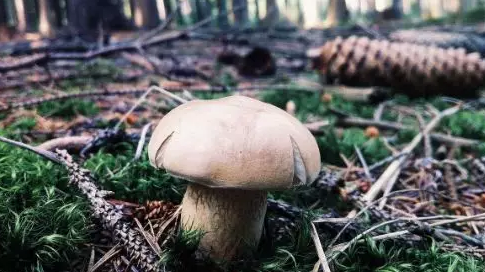 圖片關(guān)鍵詞 圖片關(guān)鍵詞