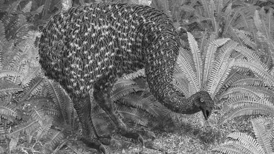 圖片關(guān)鍵詞 圖片關(guān)鍵詞