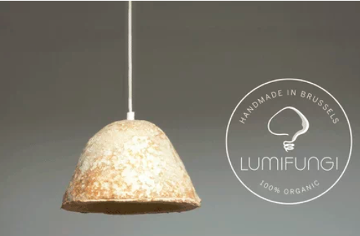 圖片關(guān)鍵詞 http://m.baiyangmuye.com/ewebeditor/uploadfile/20180727085601461001.png