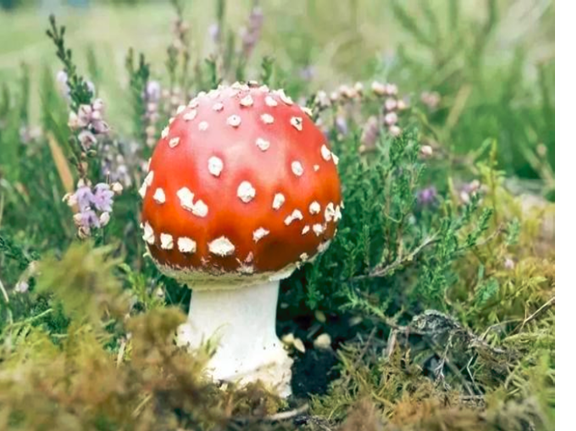 圖片關鍵詞 圖片關鍵詞