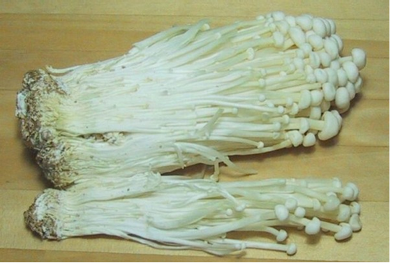 圖片關(guān)鍵詞 圖片關(guān)鍵詞