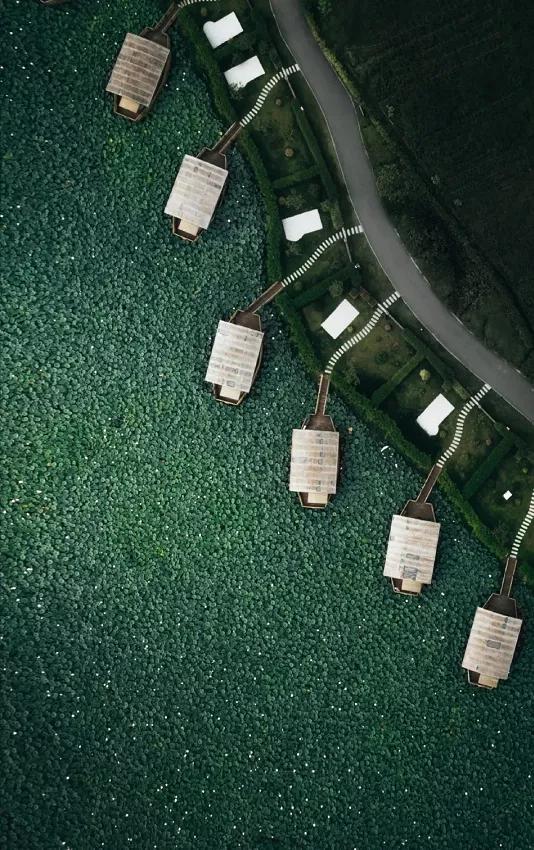 國(guó)家蘑菇地理：中國(guó)哪里的蘑菇最好吃？