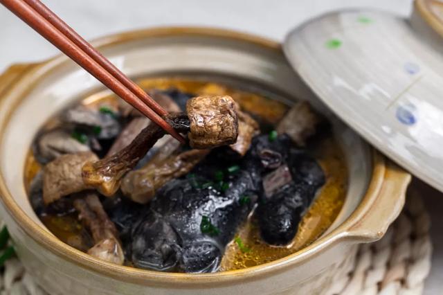 國(guó)家蘑菇地理：中國(guó)哪里的蘑菇最好吃？