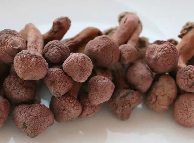 國(guó)家蘑菇地理：中國(guó)哪里的蘑菇最好吃？