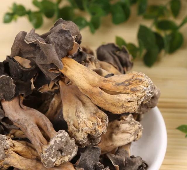 國(guó)家蘑菇地理：中國(guó)哪里的蘑菇最好吃？