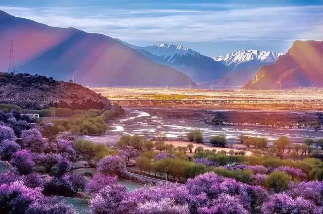 國(guó)家蘑菇地理：中國(guó)哪里的蘑菇最好吃？