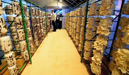 圖片關(guān)鍵詞 圖片關(guān)鍵詞