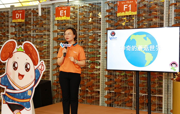 圖片關鍵詞 圖片關鍵詞