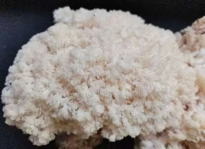 圖片關(guān)鍵詞 圖片關(guān)鍵詞