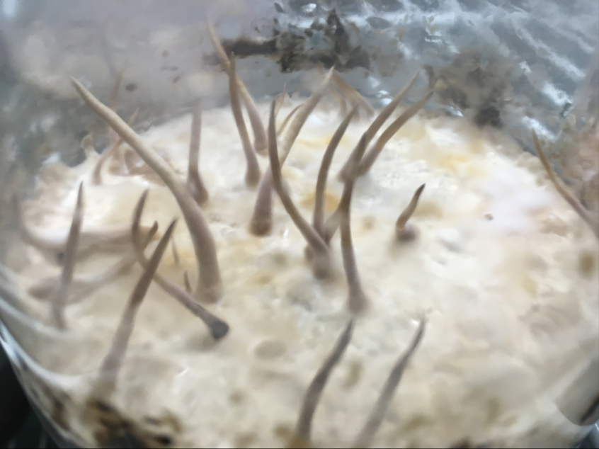 圖片關(guān)鍵詞 圖片關(guān)鍵詞