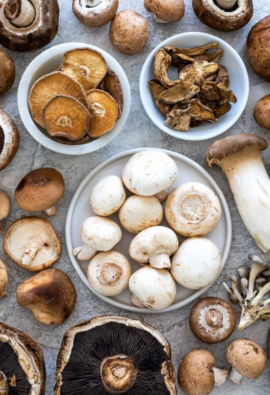 圖片關(guān)鍵詞