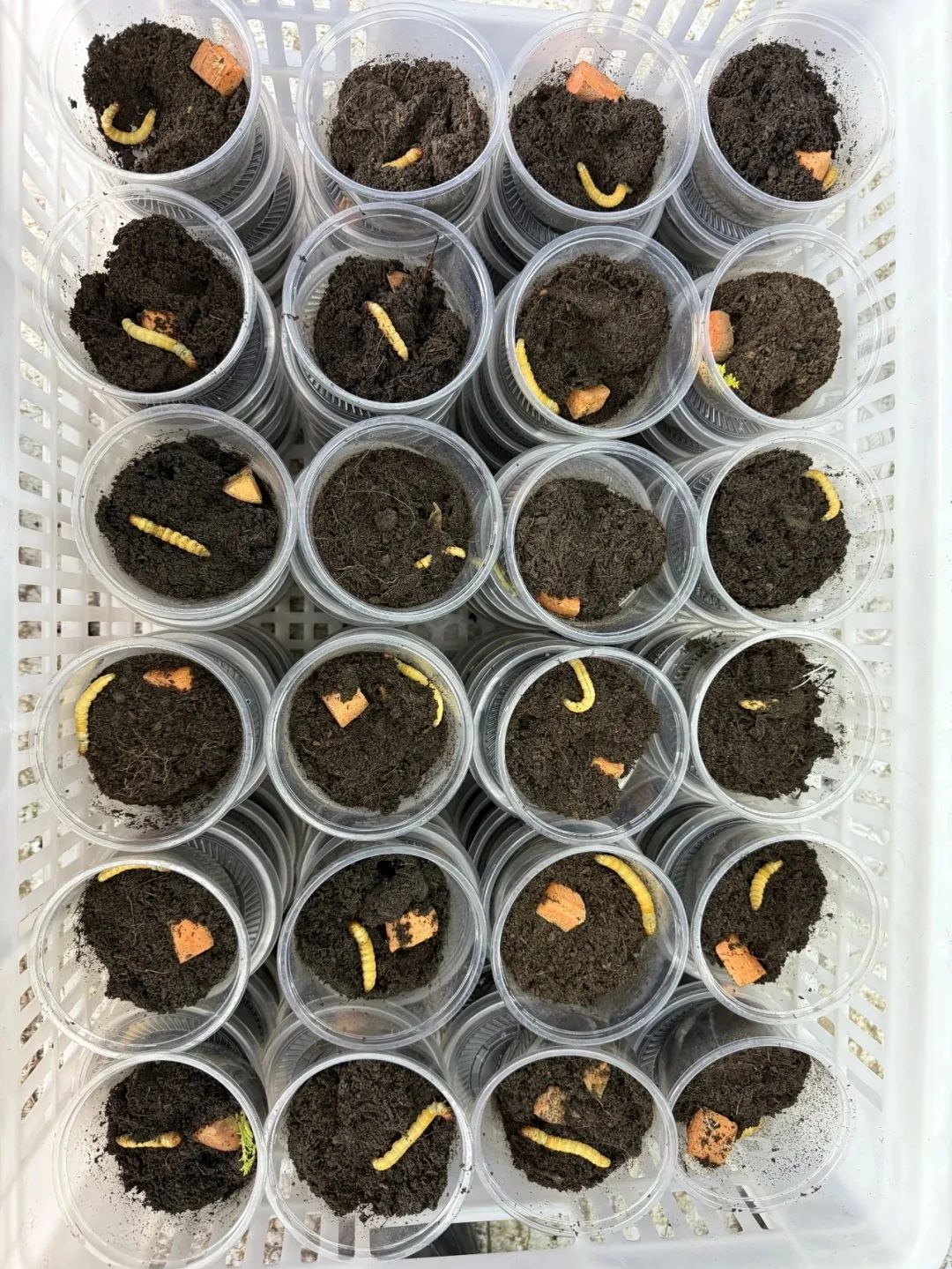 圖片關(guān)鍵詞