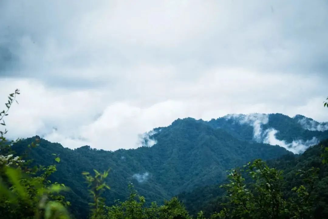 圖片關(guān)鍵詞