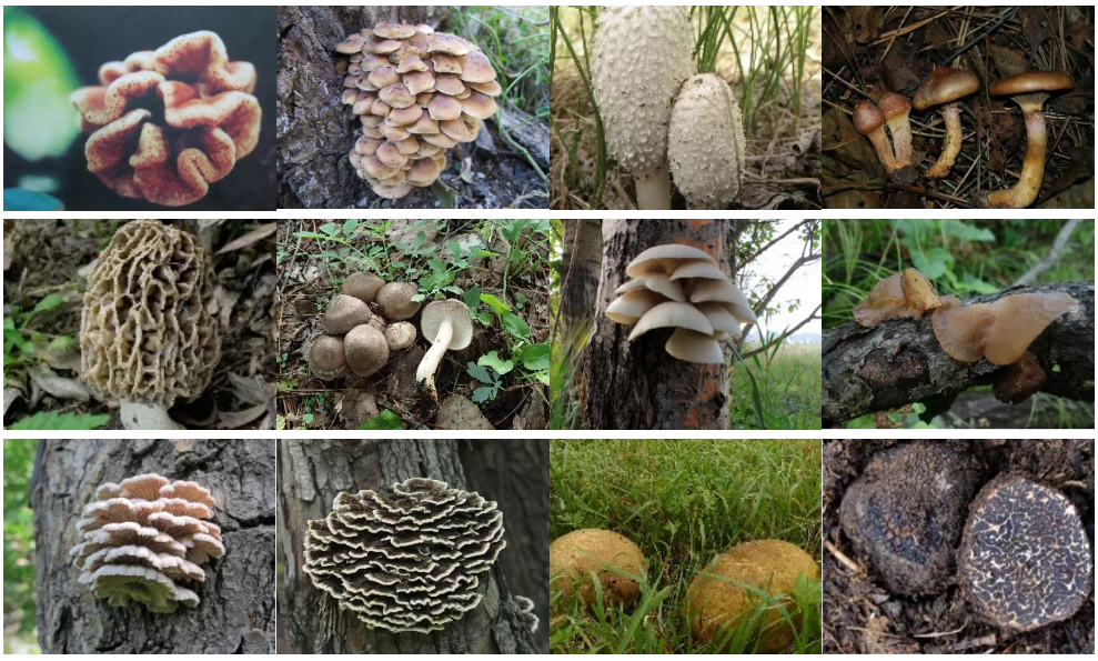 圖片關(guān)鍵詞 圖片關(guān)鍵詞