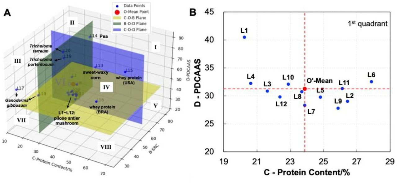 圖片關(guān)鍵詞