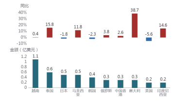 行業(yè)動態(tài)