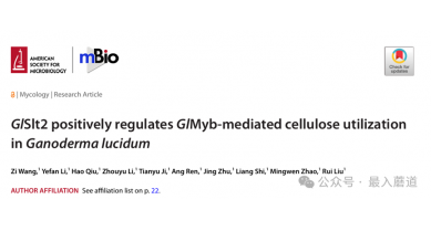 行業(yè)動態(tài)