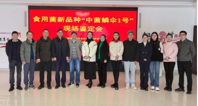 行業(yè)動(dòng)態(tài)