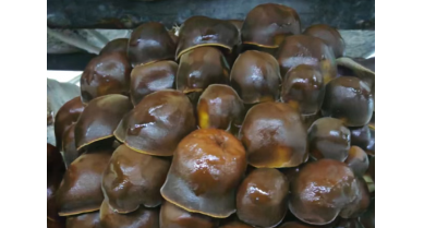 行業(yè)動(dòng)態(tài)