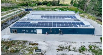 行業(yè)動態(tài)